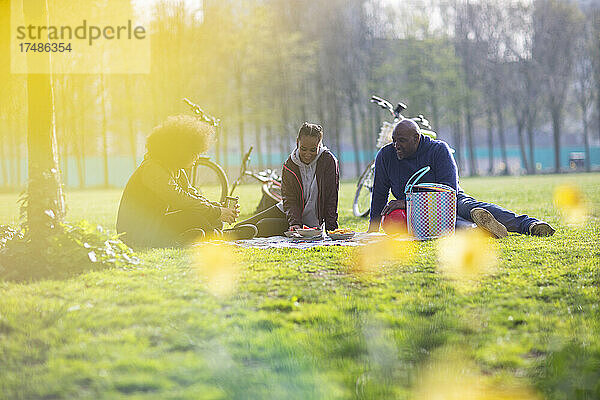 Vater und Kinder genießen ein Picknick im sonnigen Park