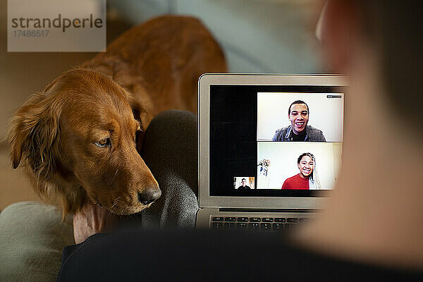 Mann mit Hund beim Video-Chat am Laptop-Bildschirm