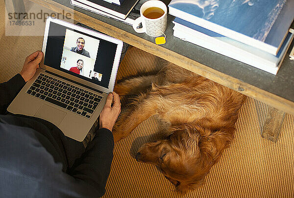 Schlafender Hund unter einem Mann  der eine Videokonferenz mit Kollegen auf einem Laptop abhält