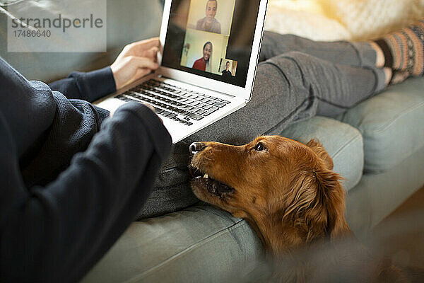 Mann mit Hund hält Videokonferenz mit Kollegen auf dem Laptop-Bildschirm