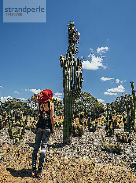Frau blickt auf einen hohen Kaktus in der Wüste  Australien