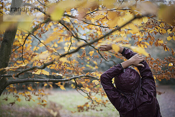 Junge Läuferin streckt sich unter einem Baum mit Herbstlaub