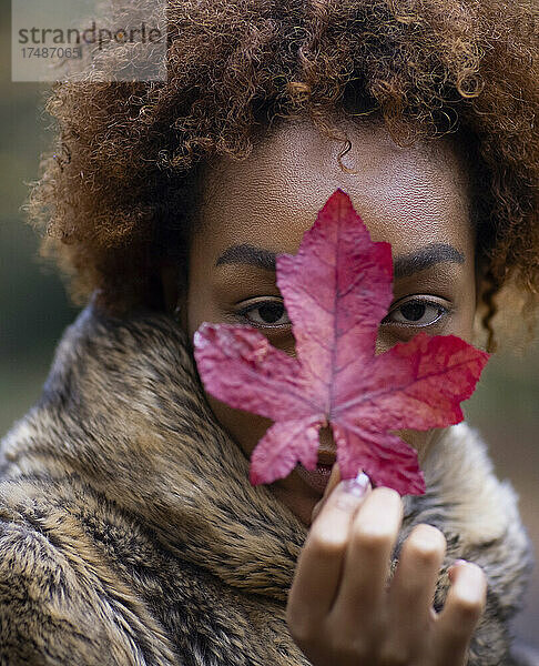 Close up Porträt schöne junge Frau mit roten Herbstblatt