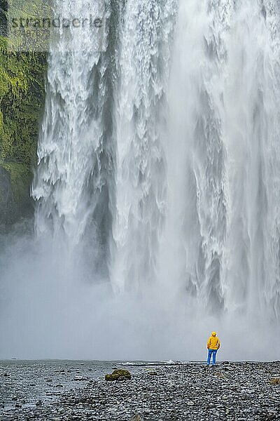 Riesiger Wasserfall hinter einem Menschen  Wasserfall Skógafoss  Südisland  Island  Europa