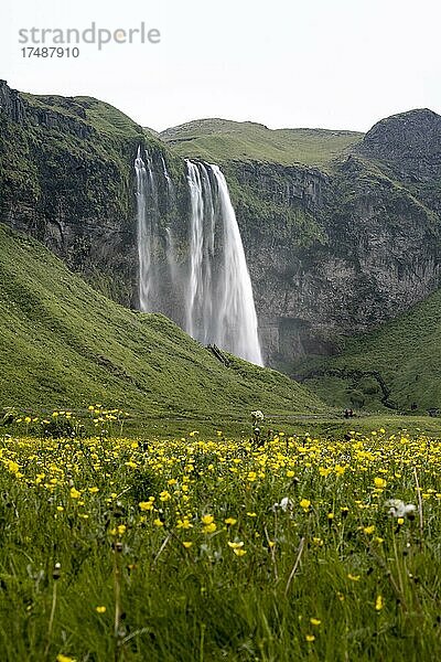 Wasserfall Seljalandsfoss  Südisland  Island  Europa