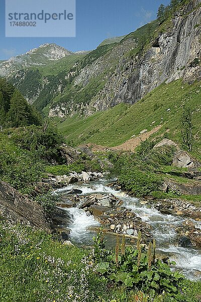 Krumlbach im Krumltal  Seitental vom Hüttwinkltal  Raurisertal  Pinzgau  Salzburger Land  Österreich  Europa