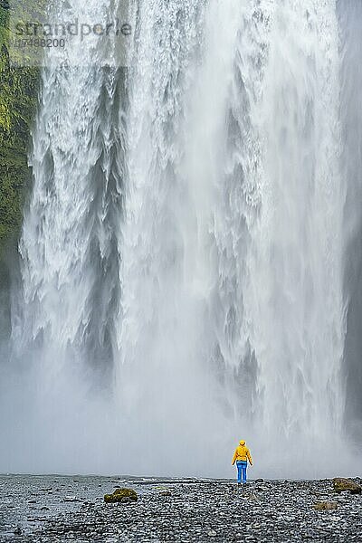 Wanderin vor Riesigem Wasserfall  Wasser stürzt Klippe hinunter  Wasserfall Skógafoss  Südisland  Island  Europa