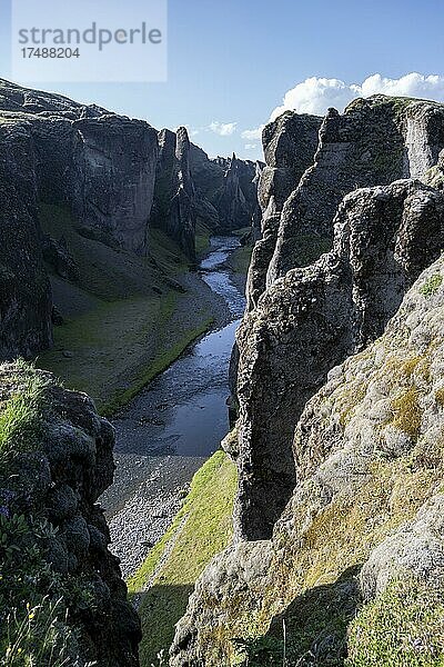 Fjaðrárgljúfur Canyon  Fjadrargljufur  tiefe Schlucht  bei Kirkjubæjarklaustur  Südisland  Island  Europa