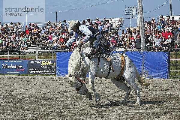Rodeo-Wettbewerb  Rodeo-Reiter  Valleyfield Rodeo  Valleyfield  Provinz Quebec  Kanada  Nordamerika