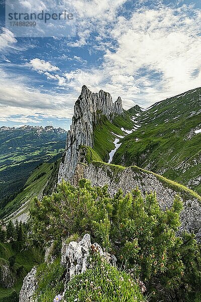 Saxer Lücke  Alpstein  Appenzell  Schweiz  Europa