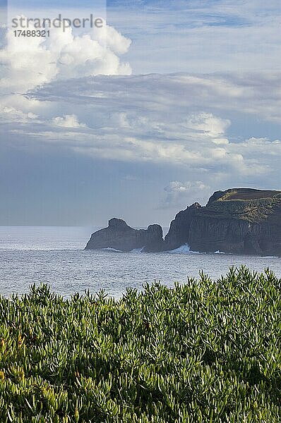 Atlantikküste bei Ribeira Grande  Insel Sao Miguel  Azoren  Portugal  Europa