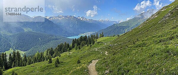 Panorama von grünen Almen  dahinter Davoser See  Graubünden  Schweiz  Europa