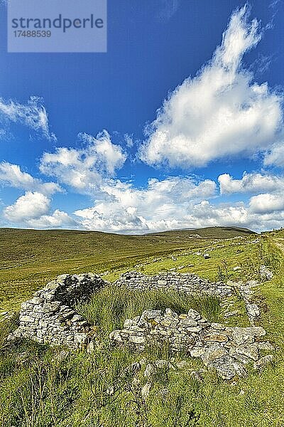 Ruine eines Steinhauses  Cottage auf einer Wiese  Verlassenes Dorf bei Slievemore  Acaill  Achill Island  Mayo  Irland  Europa