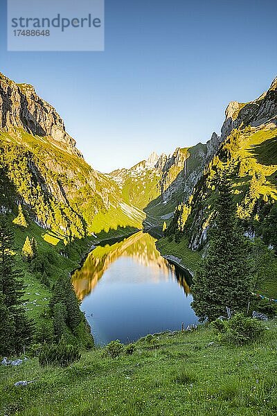 Bergsee Fälensee  Alpstein  Appenzell  Schweiz  Europa