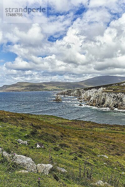 Blick auf Küste mit Klippen  Ashleam Bay  Panoramastraße Atlantic Drive  südliches Achill Island  Acaill  Mayo  Wild Atlantic Way  Irland  Europa