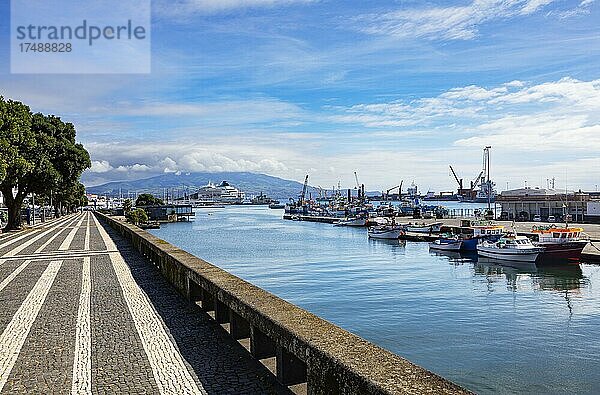 Fischereihafen und Promenade von Ponta Delgada  Insel Sao Miguel  Azoren  Portugal  Europa