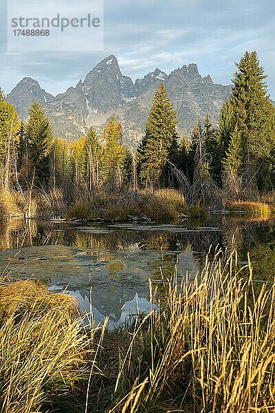 Herbstliche Landschaft mit Grand Teton Range Gebirgszug  im Morgenlicht  Gipfel Grand Teton und Middle Teton  Schwabacher Landing  Grand Teton National Park  Wyoming  USA  Nordamerika