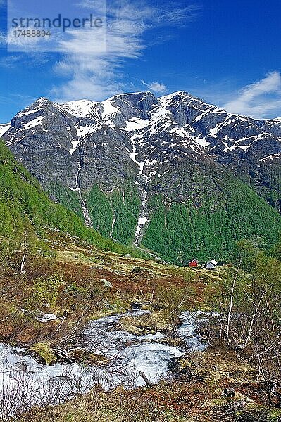 Wildbach  frühlingshafte Landschaft  karge Berge  Fjell  Gaularfjellet  Gaular  Norwegen  Europa