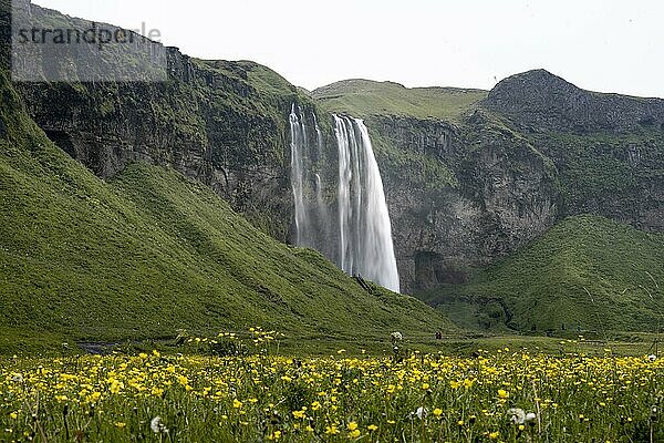 Wasserfall Seljalandsfoss  Südisland  Island  Europa