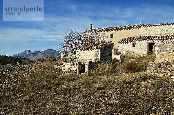Verlassene Finca mit Blick auf den Berg La Muela  altes Haus in bergiger Landschaft  hügeliger Landschaft  Velez Rubio  Almeria  Andalusien  Spanien  Europa