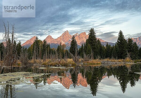 Berggipfel im Morgenrot  Grand Teton Range Gebirgszug bei Sonnenaufgang  Spiegelung im See  herbstliche Vegetation  Schwabacher Landing  Grand Teton National Park  Wyoming  USA  Nordamerika