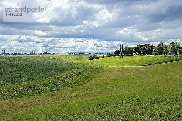 Feld  Ackerlandschaft  Provinz Quebec  Kanada  Nordamerika