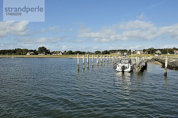 Ufer am Hafen Steenodde  Amrum  Nordfriesische Insel  Nordfriesland  Schleswig-Holstein  Deutschland  Europa