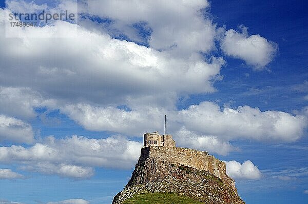 Gebäude auf einem Fels  Lindisfarne Castle  Holy Island  Northumberland  England  Großbritannien  Europa