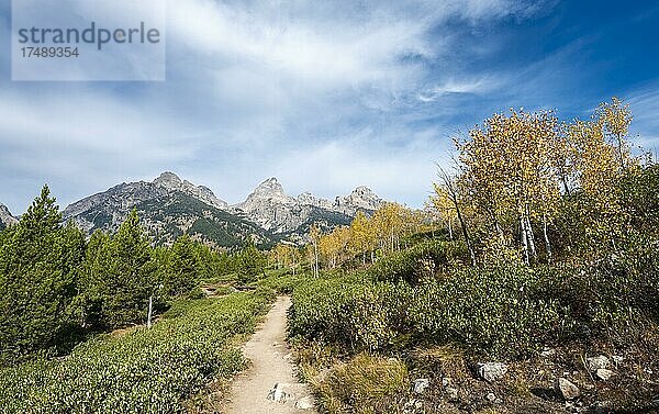 Wanderweg zum Taggart Lake im Herbst  Blick auf den Teton Range Gebirgszug  Grand Teton National Park  Wyoming  USA  Nordamerika