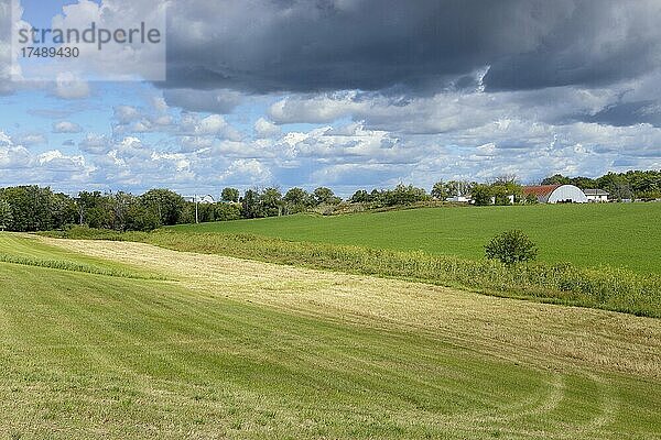 Feld  Ackerlandschaft  Provinz Quebec  Kanada  Nordamerika