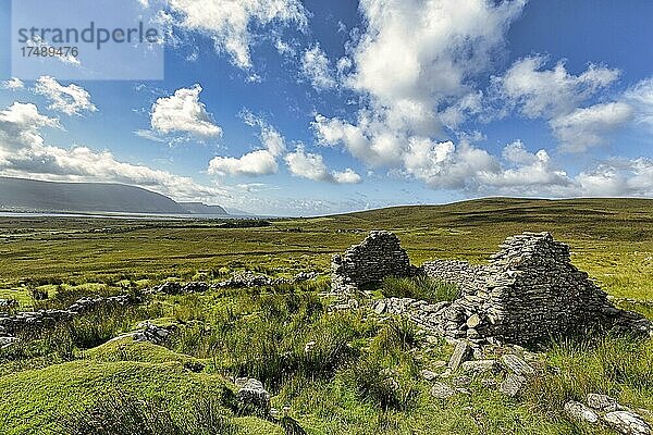 Ruine eines Steinhauses  Cottage auf einer Wiese  Verlassenes Dorf bei Slievemore  Acaill  Achill Island  Mayo  Irland  Europa