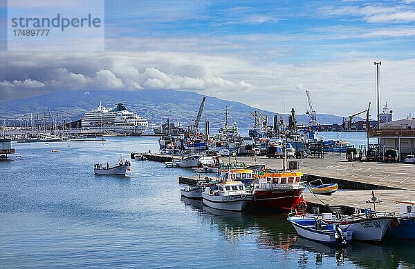 Fischereihafen von Ponta Delgada  Insel Sao Miguel  Azoren  Portugal  Europa