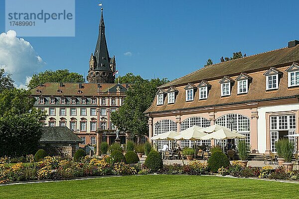 Lustgarten mit Schloss und Orangerie  Erbach  Odenwald  Hessen  Deutschland  Europa