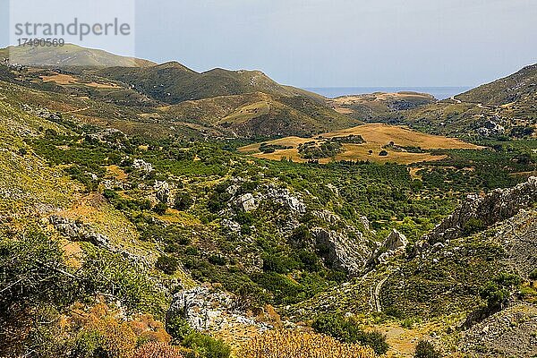 Kourtalioiko-Schlucht  Kreta  Griechenland  Europa