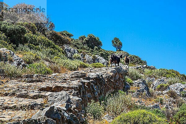 Wanderung zur Bärenhöhle mit Blick auf das Mittelmeer  Kreta  Akrotiri-Halbinsel  Kreta  Griechenland  Europa