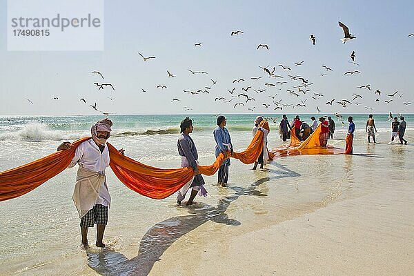 Fischer holen Netze am Strand ein  Salalah  Salalah  Dhofar  Oman  Asien