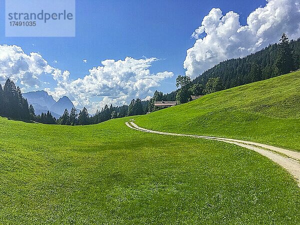 Weg durch Almwiese zur Berggaststätte Gschwandtnerbauer  am Südhang des Wank oberhalb von Garmisch-Partenkirchen