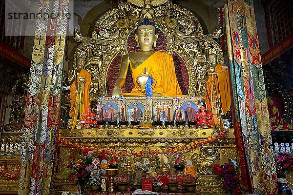 Buddhastatue in einem tibetisch buddhistischem Kloster  Xinduqiao  Sichuan  China  Asien