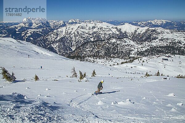 Snowboarder im Gelände neben der Piste 5  Skigebiet Steinplatte  Waidring  Tirol