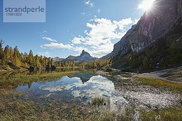 Monte Pelmo spiegelt sich in Bergsee Lago Federa mit herbstlich gefärbten Lärchen  Dolomiten  Provinz Trentino  Italien  Europa