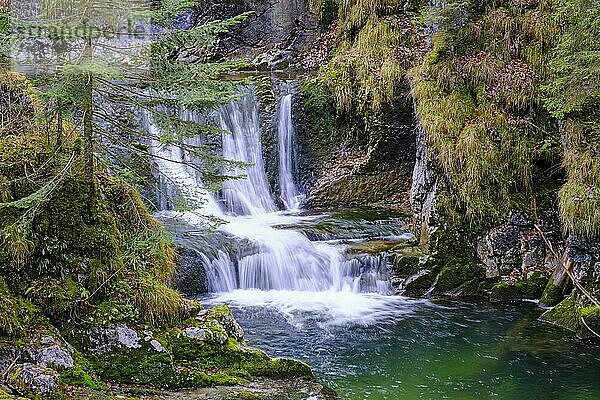 Rottachfälle  Rottacher Wasserfälle  bei Enterrottach  Tegernsee  Oberbayern  Bayern  Deutschland  Europa