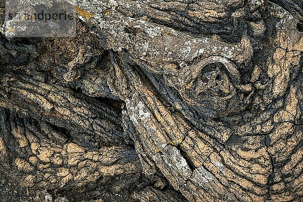 Pahoehoe-Lava  Detailaufnahme  El Hierro  Kanarische Inseln  Spanien  Europa