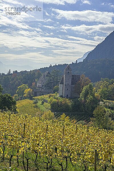 Herbstliche Weinberge und Kapelle beim Schloss Englar  St. Michael  Südtirol  Italien  Europa