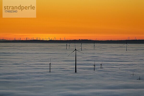 Windräder ragen aus Wolkendecke  Silhouetten nach Sonnenuntergang  Köterberg  Lügde  Weserbergland  Nordrhein-Westfalen  Deutschland  Europa