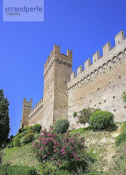 Wehrmauer der mittelalterlichen Stadt  Gradara  Provinz Pesaro und Urbino  Italien  Europa