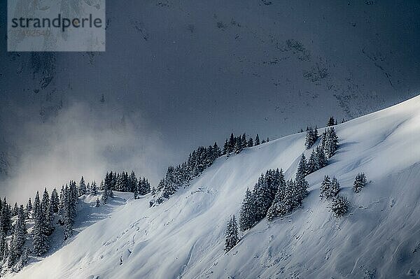 Verschneite Winterlandschaft mit Nebel Baad  Kleinwalsertal  Vorarlberg  Österreich  Europa