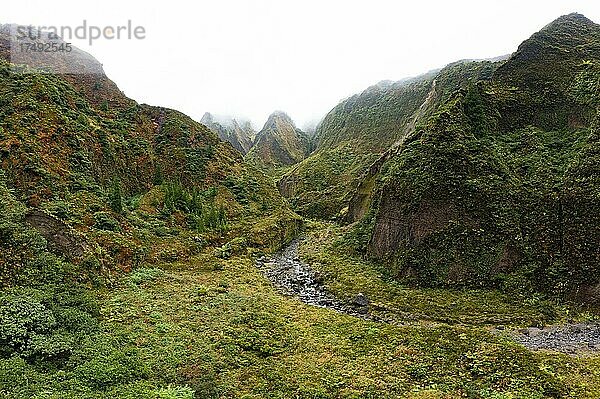 Drohnenaufnahme  Flusslauf durch das nebelverhangene wildromantische Tal Vale das Lombadas  Serra de Aqua de Pau  Insel Sao Miguel  Azoren  Portugal  Europa