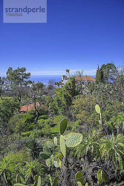 Villa mit prächtigem Garten  Puntagorda  La Palma  Spanien  Europa