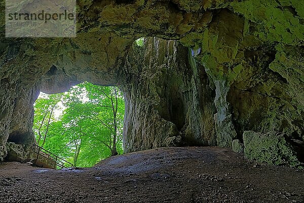 Petershöhle  Beuron  Naturpark Obere Donau  Baden-Württemberg  Deutschland  Europa
