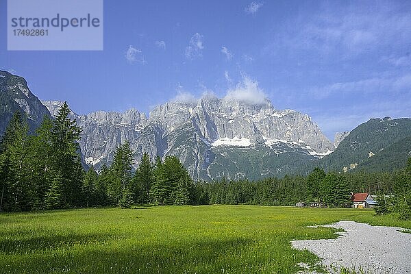 Blick über Wiese zu den Bergen des Val Saisera  Malborghetto Valbruna  Provinz Udine  Italien  Europa